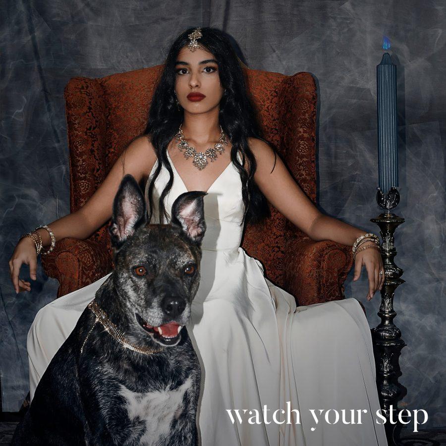  Vaishalini’s cover art for “Watch Your Step” (Courtesy Vaishalini Sitaraman)