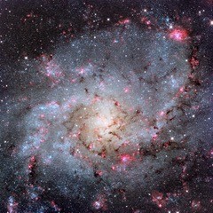 Galaxy M 33, otherwise known as the Triangulum Galaxy. (Copyright Adam Block/Mount Lemmon SkyCenter/University of Arizona)