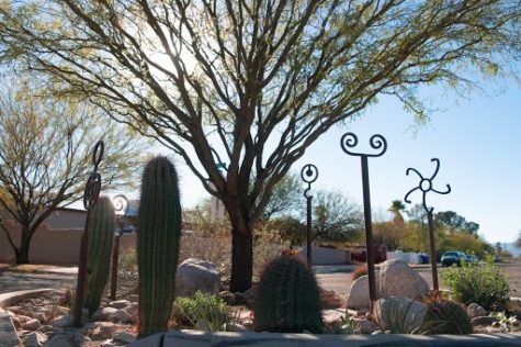 In the roundabout at North Vine Avenue and East Edison Street, the afternoon sun shines down on thin metal pillars topped with various shapes from southwestern iconography. The sculptures rest in harmony with the cacti and surround a sizable Palo Verde tree.  