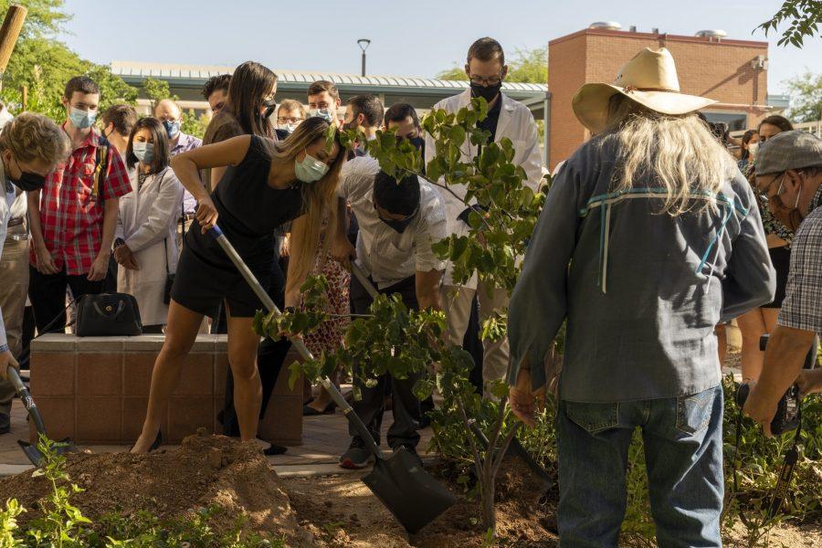 University of Arizona College of Medicine students plant a tree in the ground at the annual Tree Blessing Ceremony at the College of Medicine on Aug. 25. The ceremony honors individuals and families who donated their bodies to the College of Medicine for anatomy instruction and dissection. Photo courtesy Jill Hall. 
