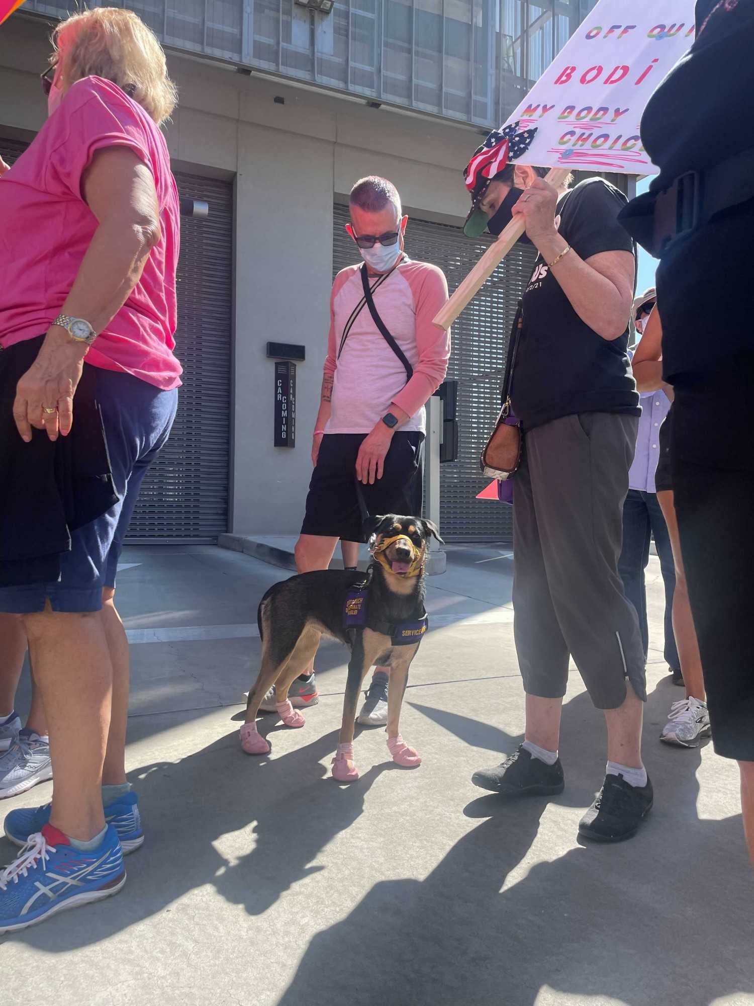 A women’s march attendee with their dog on Oct. 2, 2021. Individuals across all genders, ages and species were in attendance at Saturday’s demonstration.