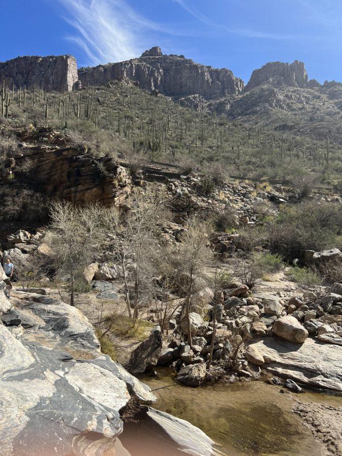 Hikes in Tucson offer students an exciting and beautiful close-to-campus getaway