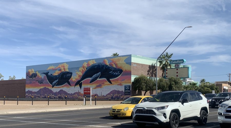 Sky Islands (Whale Mural) by Joe Pagac 2019 sponsored by Banner Health. 1930 E Grant Rd, Tucson, AZ. (Photograph by Lizette Arias)