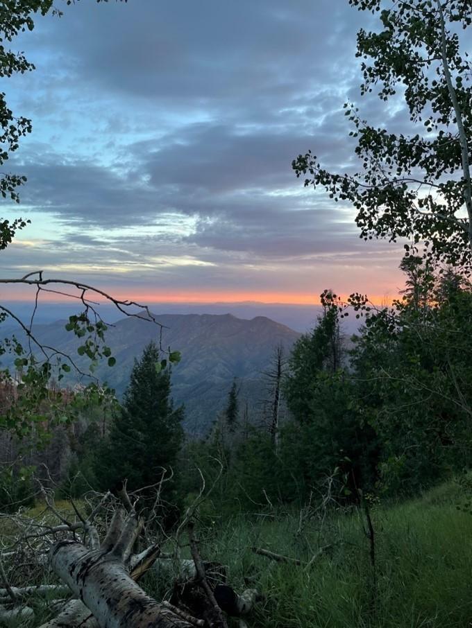 The view from Mount Lemmon. (Photo courtesy of Cassidy Frost)