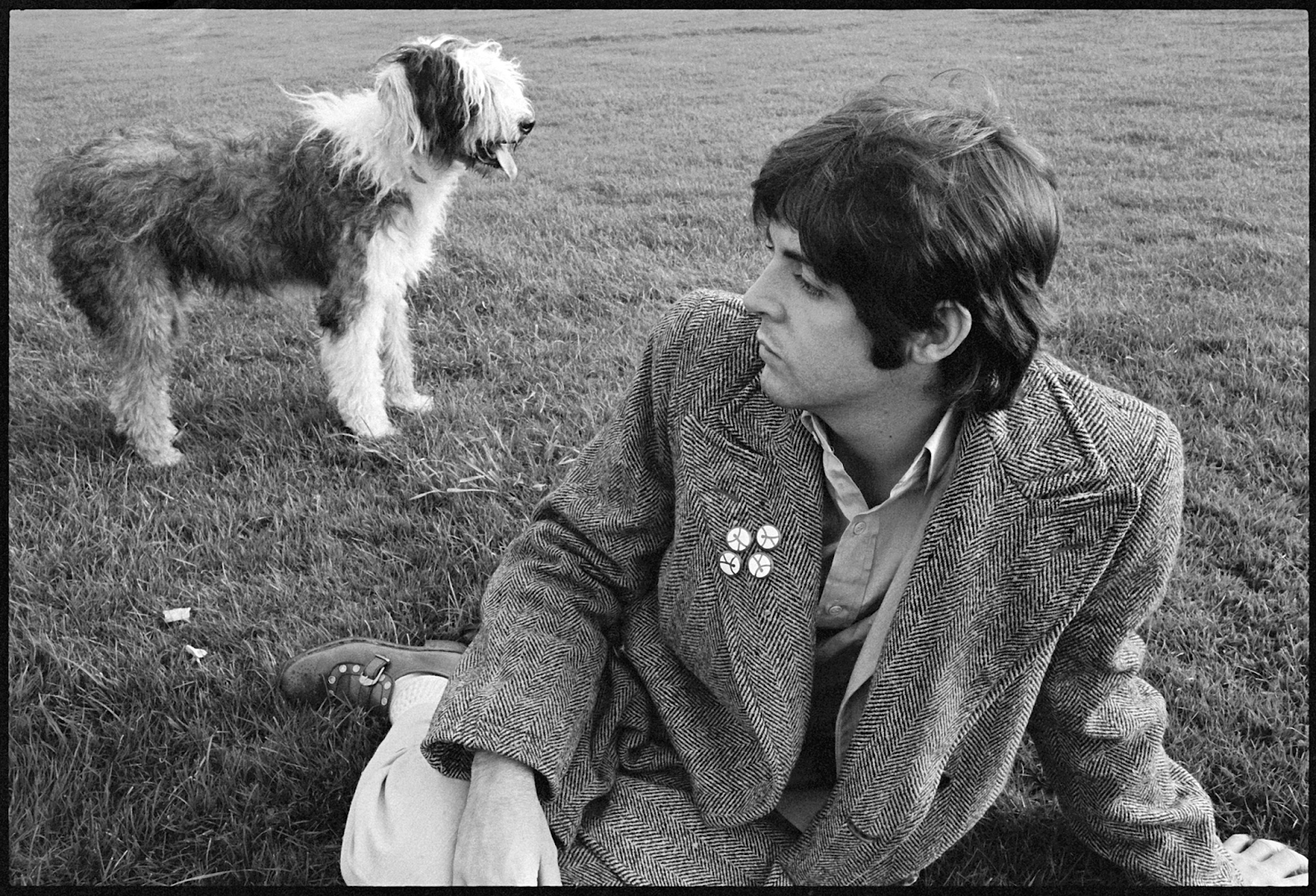 Martha, My Dear. London, 1968 Credit: © Paul McCartney / Photographer: Linda McCartney