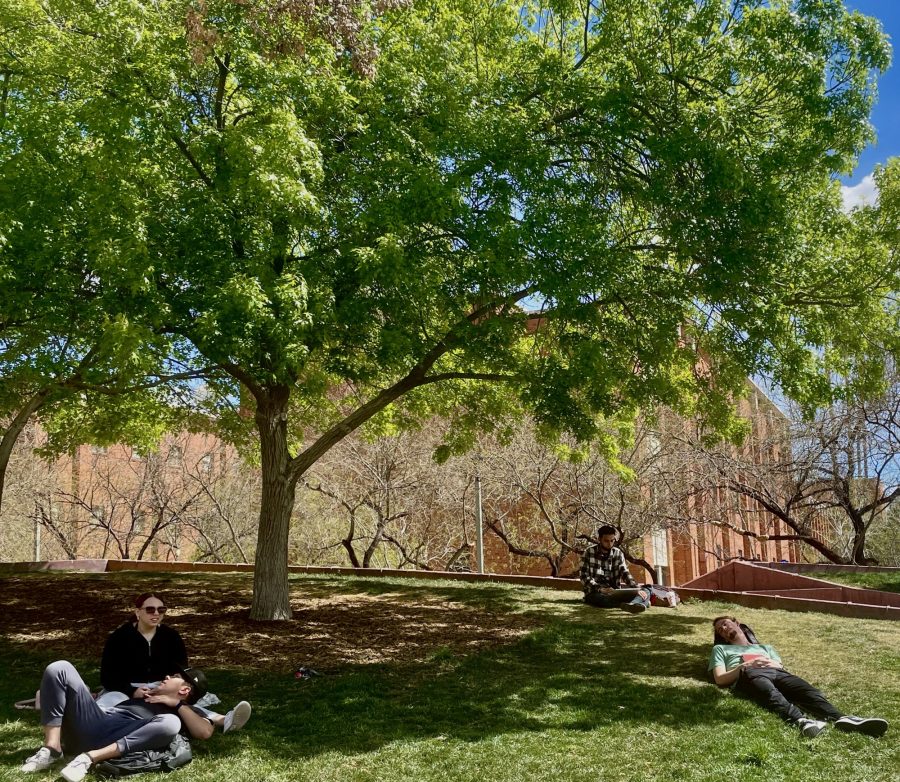 No, you cant catch up on lost sleep, but that doesnt mean UA students wont try, including these students lounging on a Monday morning on the grass near the Student Union Memorial Center during the spring 2023 semester. (Photo by Skylar Zannini, El Inde Arizona)