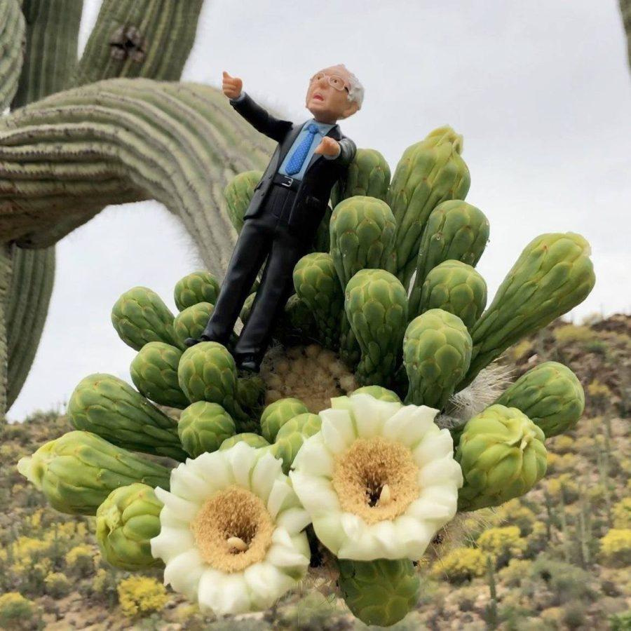 In Saving Bernie, a miniature Bernie Sanders is kidnapped to prevent him from disrupting the 2020 presidential election. (Courtesy Linda Chorney)