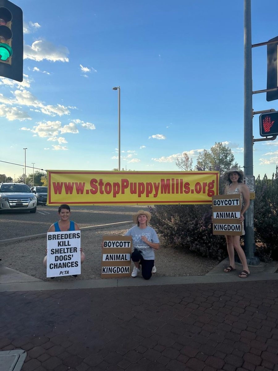 Mariah Pollock (Left), Isa Salisbury (Middle) and Emily Burns (right) gathered outside the Tucson Mall Monday as part of a larger demonstration held by Supporting and Promoting Ethics for the Animal Kingdom. SPEAK is a local animal rights group dedicated to promoting ethical practices for the treatment of animals.