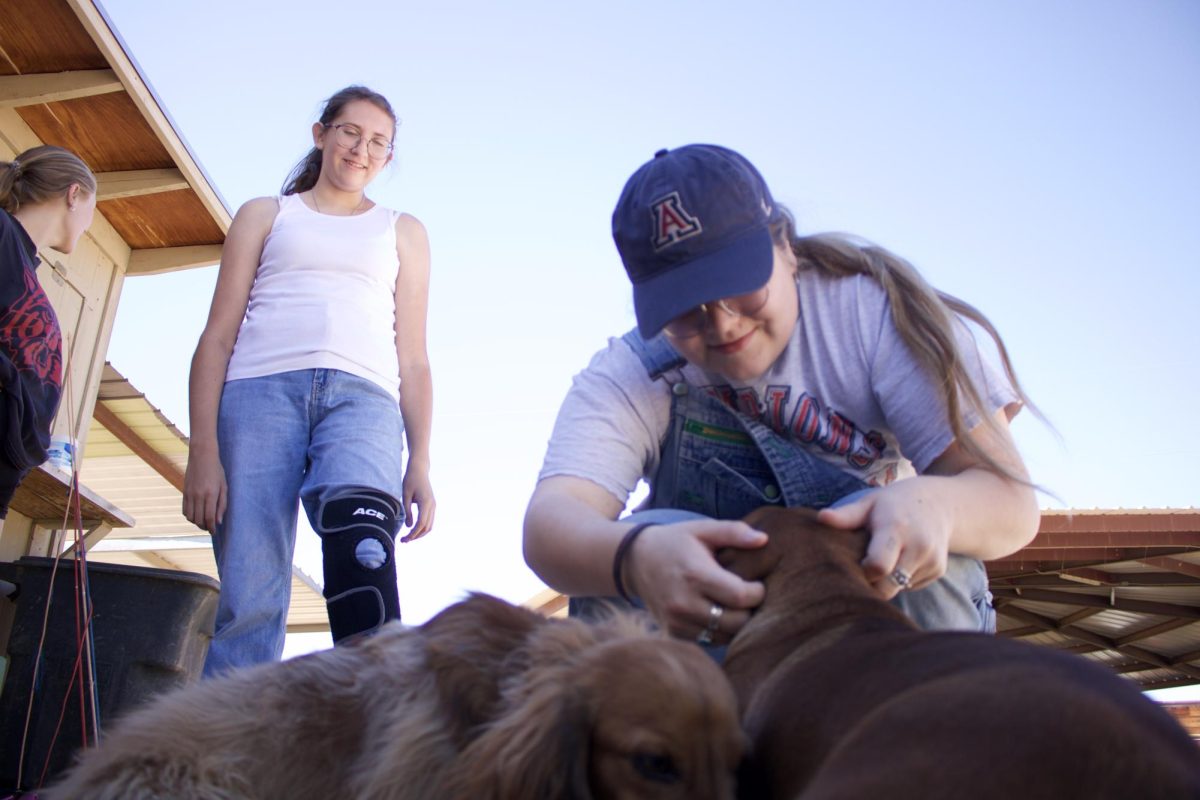 Wildcats CARE members admire the dogs at TRAK on Nov. 4 during a volunteer event. Caroline McDaniel (right) said her favorite ranch animals are the ponies. 
