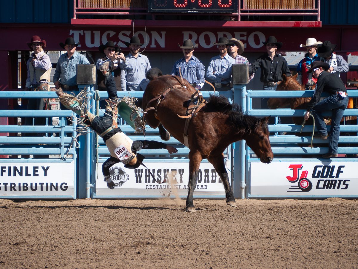 Bradlee Miller gets kicked off his bareback horse at the Tucson Rodeo on Feb. 17. Kyle Lucas earned the Lynn Beutler All Around Buckle for his efforts in Tie Down and Team Roping. 