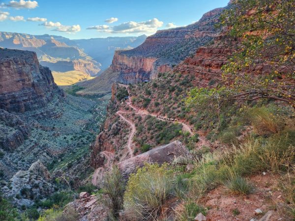 Bright Angel Trail is one of the most traveled trails in the Grand Canyon, and is frequented by mules. Photo courtesy Mark Marry.