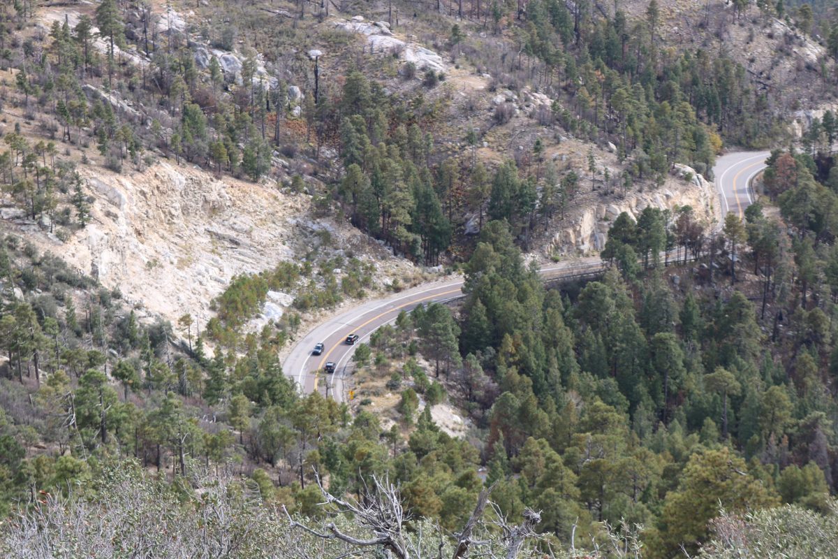 Cars drive up Mount Lemmon during the summer season. Visitors are able to experience cooler temperatures and natural forest sights right above the city.
