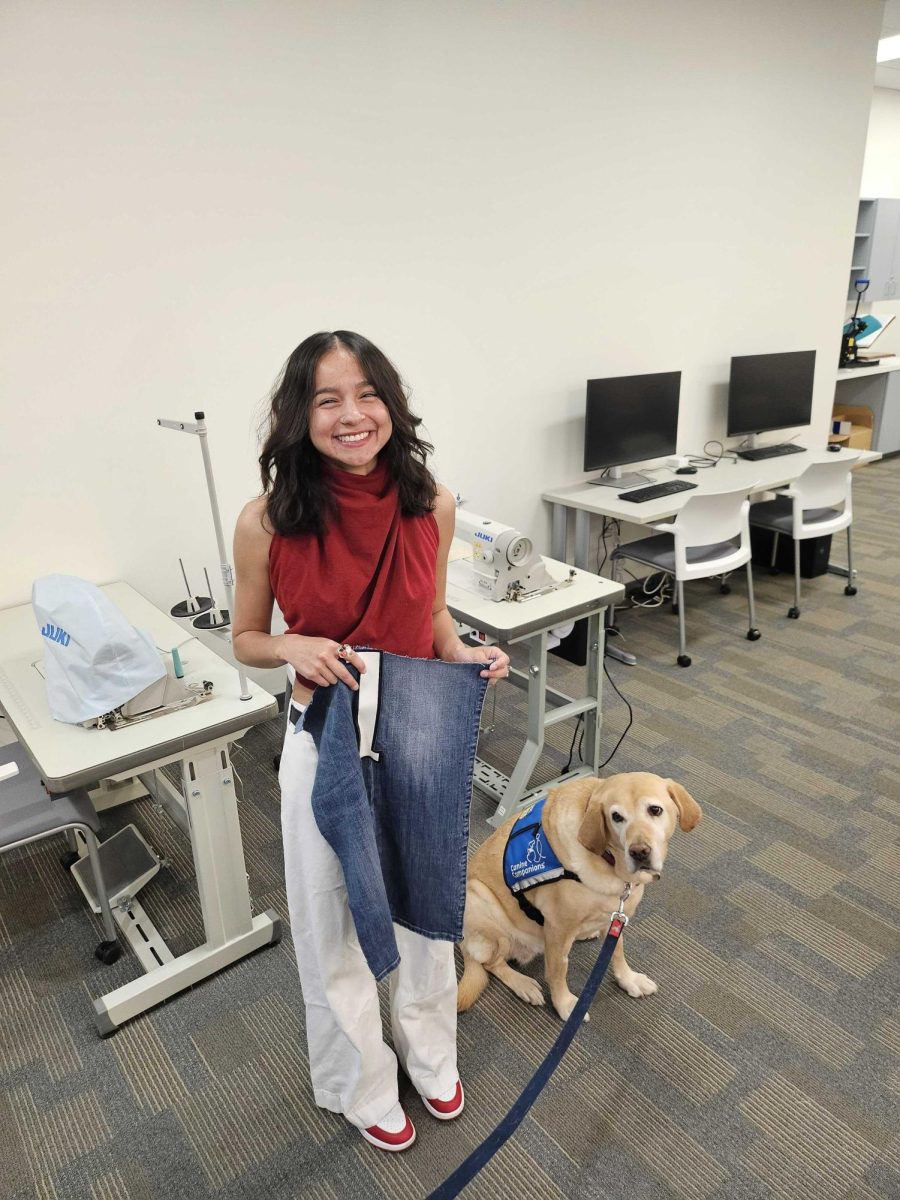 Alena Maestas, a designer for this year's Dogs 'n Denim, works with Toffee before upcoming event.