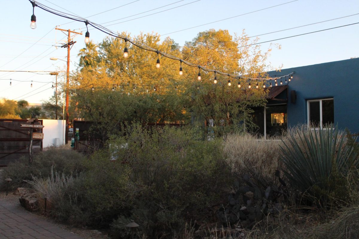 A thriving native edible rain garden at the entrance of Watershed Management Groups Living Lab Learning Center on Nov. 13, 2024. During WMG’s Native Edible Tree project event, participants were taken around the site to learn about rain gardens.