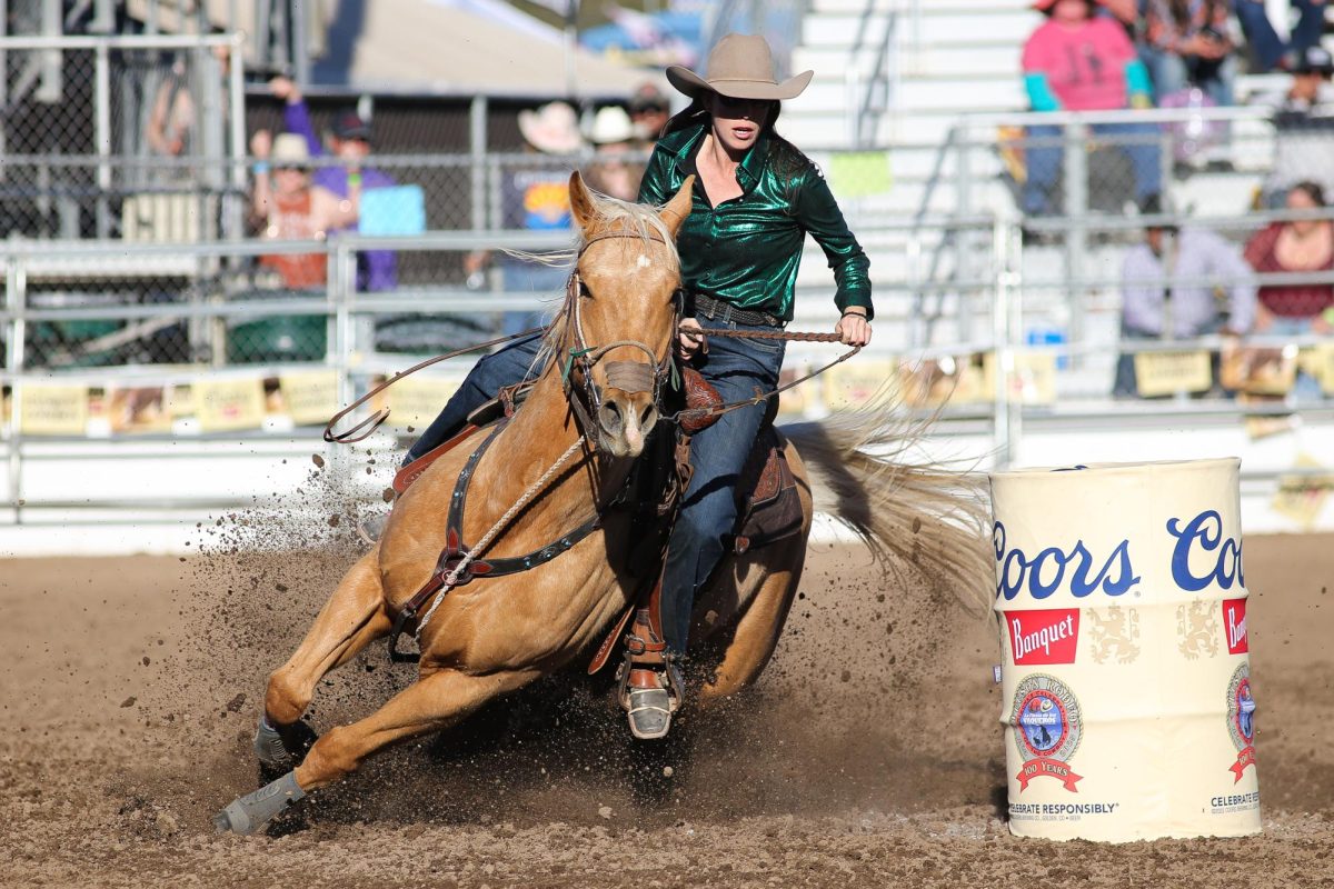 Krystal Dillman makes the final turn in her barrel racing run at the Tucson Rodeo on Feb. 23. Dillman placed 3rd with a time of 17.34.