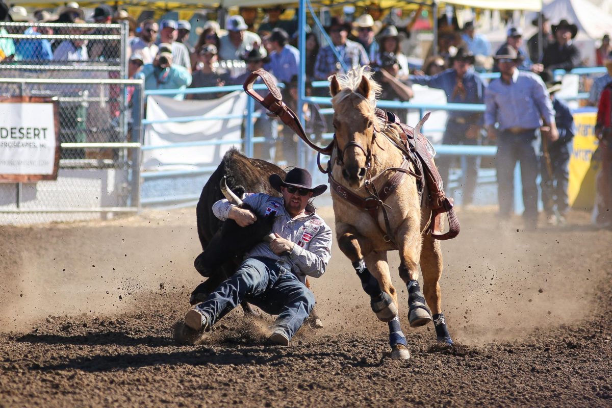 Stetson Jorgensen wrestles his steer to the ground at the Tucson Rodeo on Feb. 23.  Jorgensen won the round with a 5.2 second time.