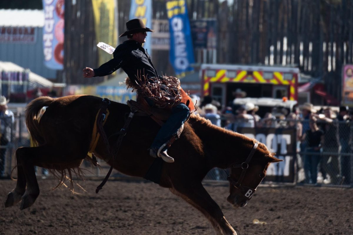 Warwick Southern struggles to hold on to his horse at the Tucson Rodeo on Feb. 22. Southern came in 13th place for his event, saddle bronc riding. 