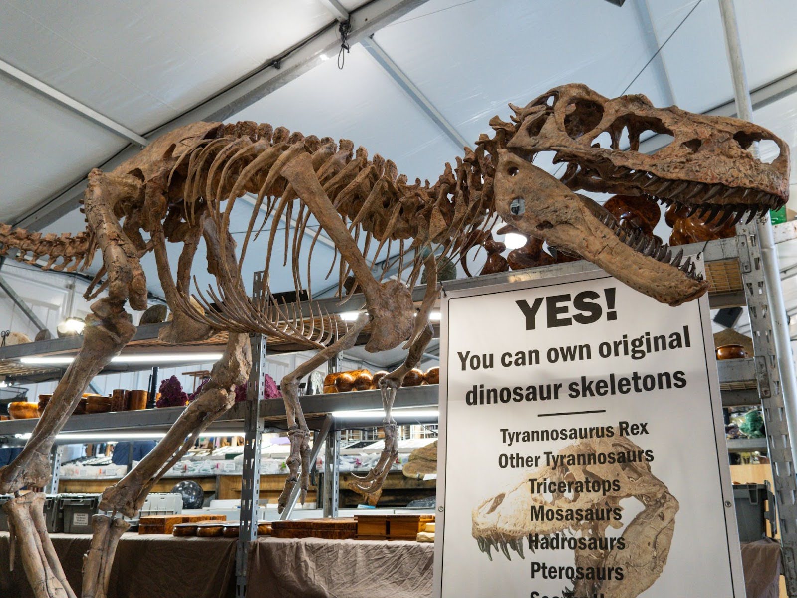 OPINION: An ode to Earth: The Tucson Gem and Mineral Show is more
