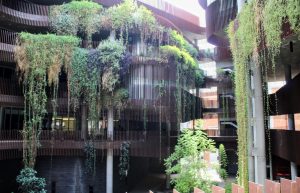 The courtyard of the Environment and Natural Resources 2 Building at the University of Arizona campus, on Aug. 16. 
