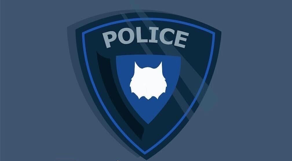 Police Beat 17: A tale of three Jeeps raises UAPD eyebrows