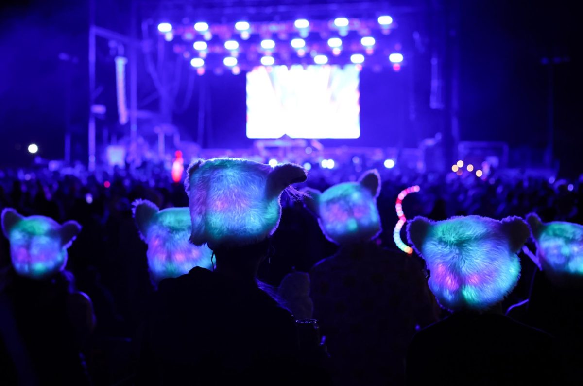 Spectators watch a concert at Gem and Jam on Feb. 7 at the Pima County Fairgrounds.