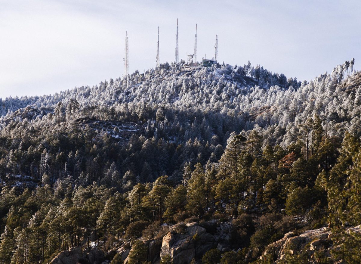 Snow coats the trees and antennas atop Mount Lemmon on Feb 20.