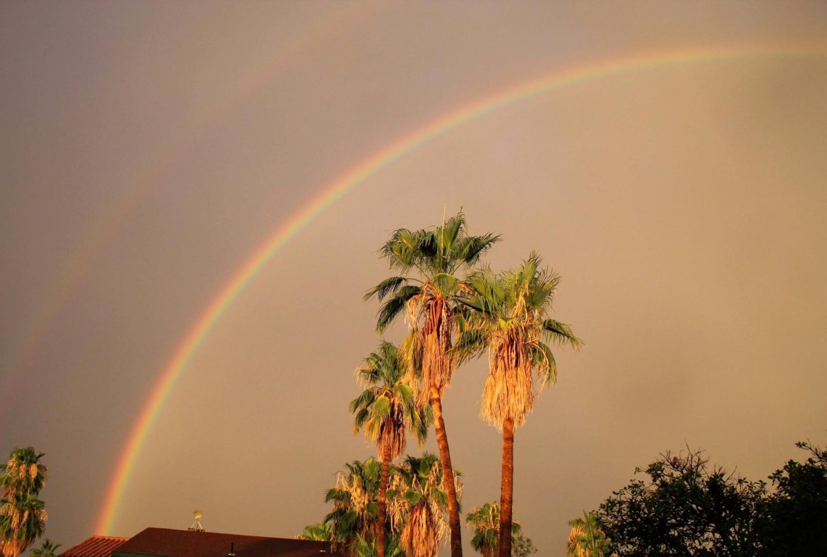 A double rainbow almost forms near an apartment complex near 142 S Tucson Blvd on Jun. 17.  
